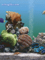 Comments, Graphics - Cool Gifs 